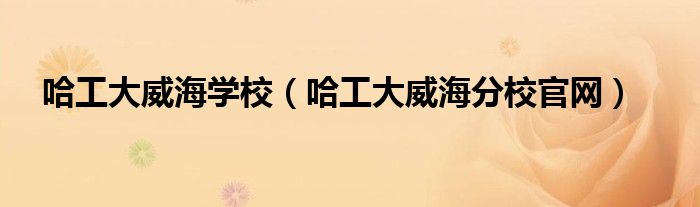 哈工大威海學(xué)校（哈工大威海分校官網(wǎng)）