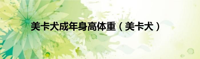 美卡犬成年身高體重（美卡犬）