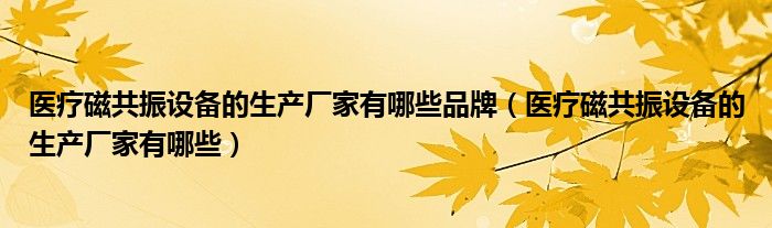 醫(yī)療磁共振設(shè)備的生產(chǎn)廠家有哪些品牌（醫(yī)療磁共振設(shè)備的生產(chǎn)廠家有哪些）