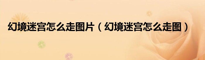 幻境迷宮怎么走圖片（幻境迷宮怎么走圖）