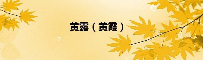 黃露（黃霞）