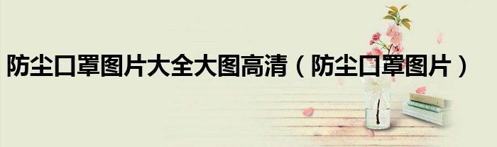 防塵口罩圖片大全大圖高清（防塵口罩圖片）