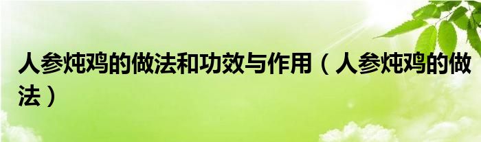 人參燉雞的做法和功效與作用（人參燉雞的做法）