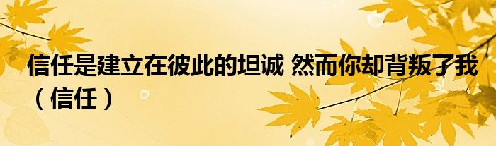 信任是建立在彼此的坦誠 然而你卻背叛了我（信任）