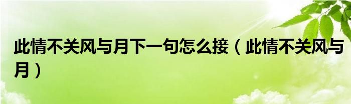 此情不關(guān)風(fēng)與月下一句怎么接（此情不關(guān)風(fēng)與月）
