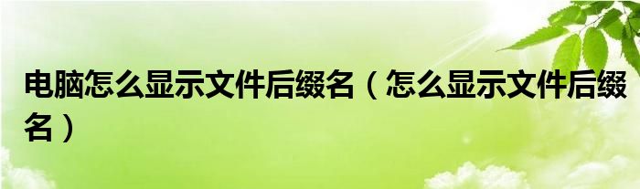 電腦怎么顯示文件后綴名（怎么顯示文件后綴名）