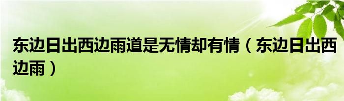 東邊日出西邊雨道是無情卻有情（東邊日出西邊雨）