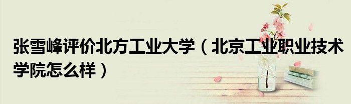 張雪峰評價北方工業(yè)大學(xué)（北京工業(yè)職業(yè)技術(shù)學(xué)院怎么樣）