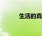 生活的真諦英語（生活的真諦）