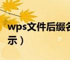 wps文件后綴名怎么顯示（文件后綴名怎么顯示）