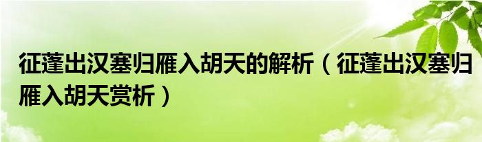 征蓬出漢塞歸雁入胡天的解析（征蓬出漢塞歸雁入胡天賞析）