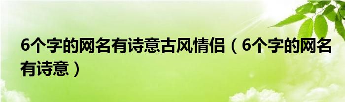 6個(gè)字的網(wǎng)名有詩意古風(fēng)情侶（6個(gè)字的網(wǎng)名有詩意）
