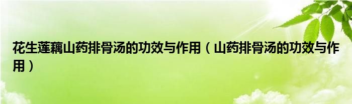 花生蓮藕山藥排骨湯的功效與作用（山藥排骨湯的功效與作用）