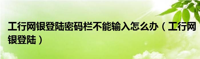 工行網(wǎng)銀登陸密碼欄不能輸入怎么辦（工行網(wǎng)銀登陸）