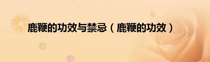 鹿鞭的功效與禁忌（鹿鞭的功效）