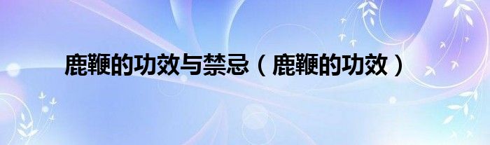 鹿鞭的功效與禁忌（鹿鞭的功效）