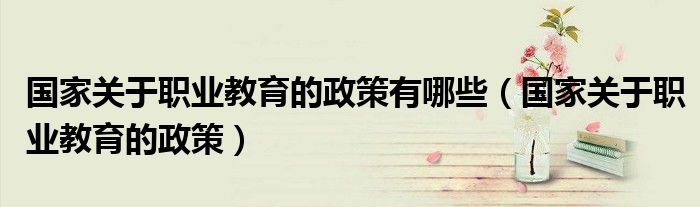 國(guó)家關(guān)于職業(yè)教育的政策有哪些（國(guó)家關(guān)于職業(yè)教育的政策）