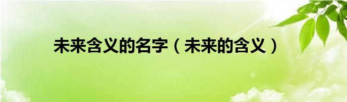 未來含義的名字（未來的含義）