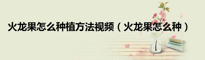火龍果怎么種植方法視頻（火龍果怎么種）