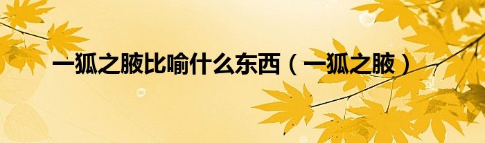 一狐之腋比喻什么東西（一狐之腋）