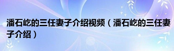 潘石屹的三任妻子介紹視頻（潘石屹的三任妻子介紹）