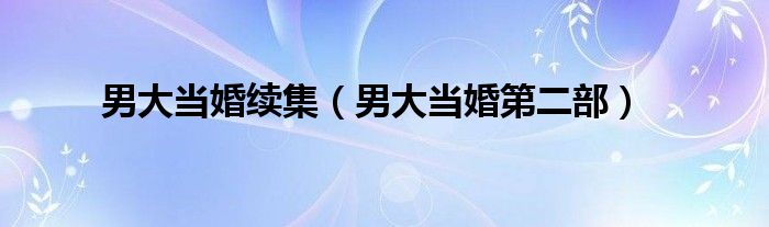 男大當(dāng)婚續(xù)集（男大當(dāng)婚第二部）