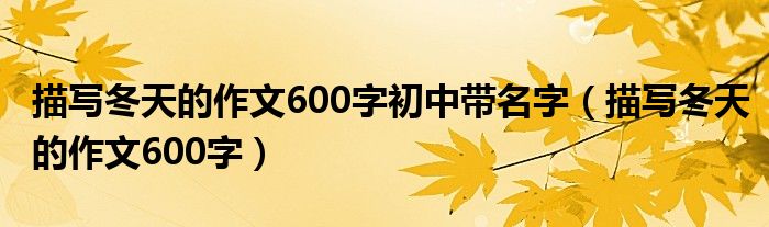 描寫(xiě)冬天的作文600字初中帶名字（描寫(xiě)冬天的作文600字）