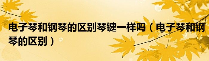 電子琴和鋼琴的區(qū)別琴鍵一樣嗎（電子琴和鋼琴的區(qū)別）
