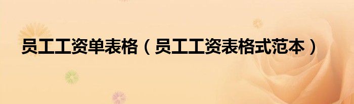 員工工資單表格（員工工資表格式范本）