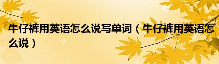 牛仔褲用英語怎么說寫單詞（牛仔褲用英語怎么說）