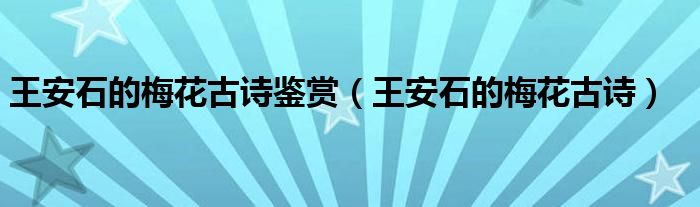 王安石的梅花古詩鑒賞（王安石的梅花古詩）