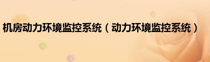 機(jī)房動(dòng)力環(huán)境監(jiān)控系統(tǒng)（動(dòng)力環(huán)境監(jiān)控系統(tǒng)）