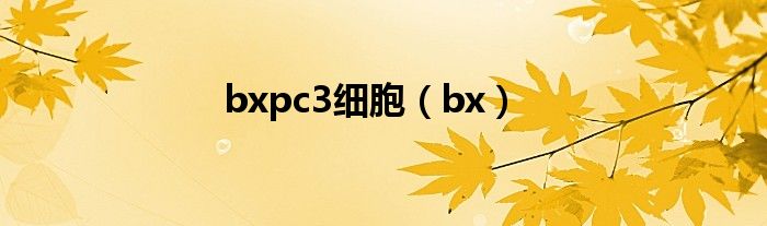 bxpc3細(xì)胞（bx）
