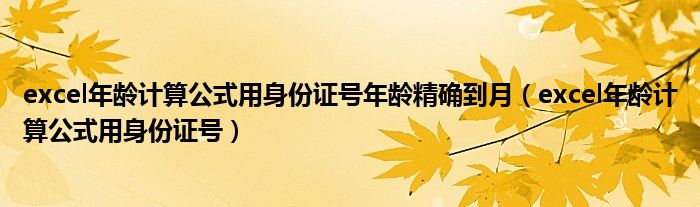 excel年齡計(jì)算公式用身份證號(hào)年齡精確到月（excel年齡計(jì)算公式用身份證號(hào)）