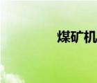 煤礦機(jī)電設(shè)備（煤礦機(jī)電）
