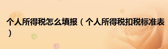 個人所得稅怎么填報（個人所得稅扣稅標準表）