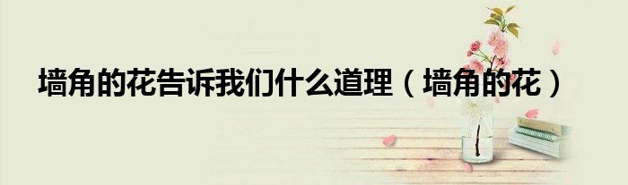 墻角的花告訴我們什么道理（墻角的花）