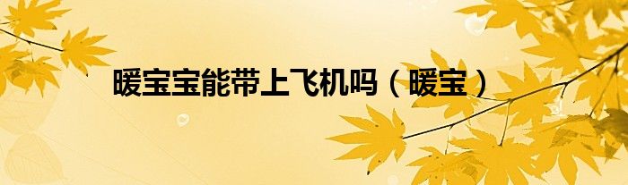 暖寶寶能帶上飛機嗎（暖寶）