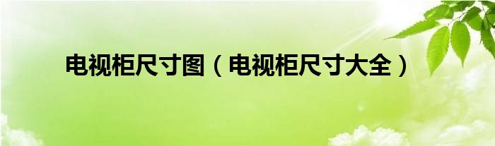 電視柜尺寸圖（電視柜尺寸大全）