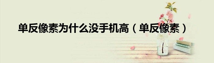 單反像素為什么沒手機(jī)高（單反像素）