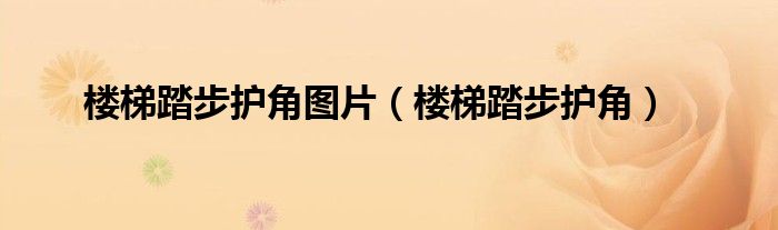 樓梯踏步護(hù)角圖片（樓梯踏步護(hù)角）