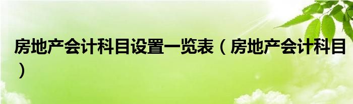 房地產(chǎn)會計科目設置一覽表（房地產(chǎn)會計科目）