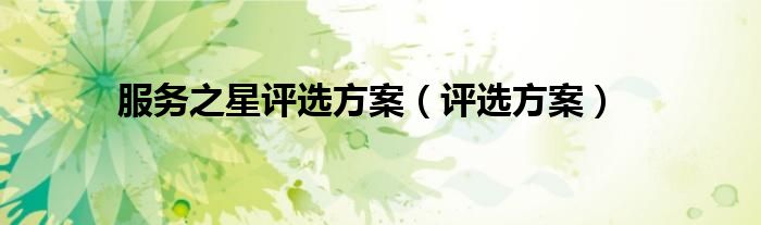 服務之星評選方案（評選方案）