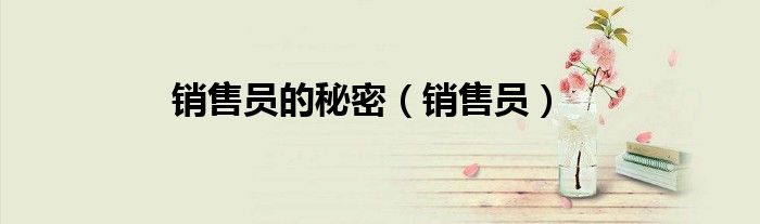 銷售員的秘密（銷售員）