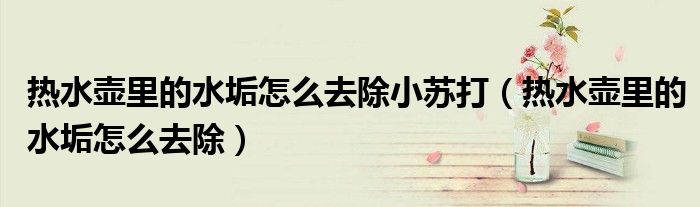 熱水壺里的水垢怎么去除小蘇打（熱水壺里的水垢怎么去除）