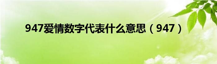 947愛(ài)情數(shù)字代表什么意思（947）