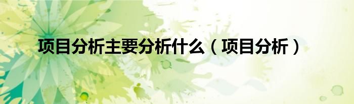 項目分析主要分析什么（項目分析）