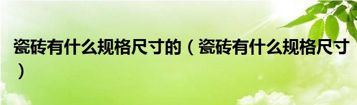 瓷磚有什么規(guī)格尺寸的（瓷磚有什么規(guī)格尺寸）