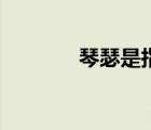 琴瑟是指哪兩個樂器（琴瑟）