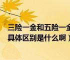 三險(xiǎn)一金和五險(xiǎn)一金的區(qū)別怎么算（三險(xiǎn)一金與五險(xiǎn)一金的具體區(qū)別是什么啊）
